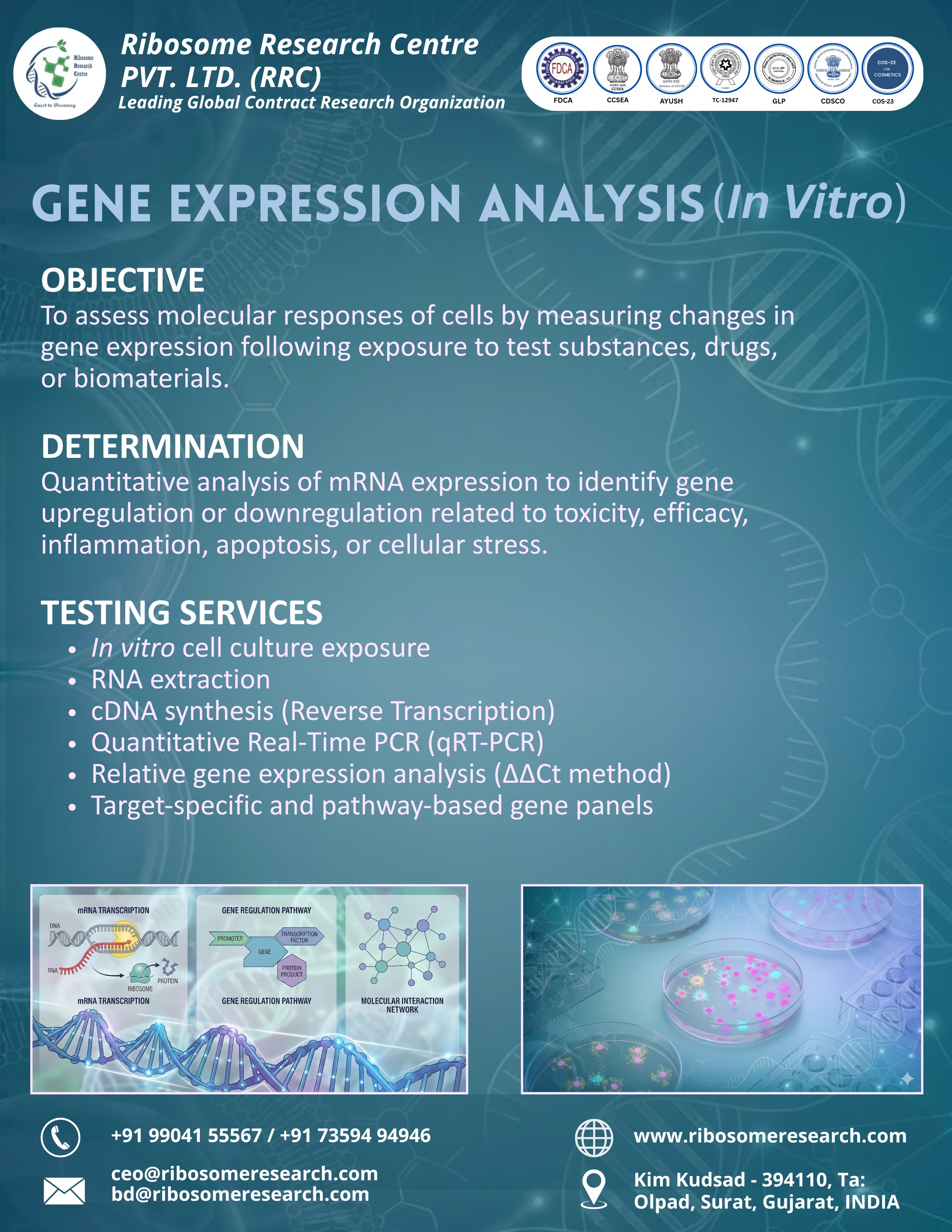 Gene Expression Analysis